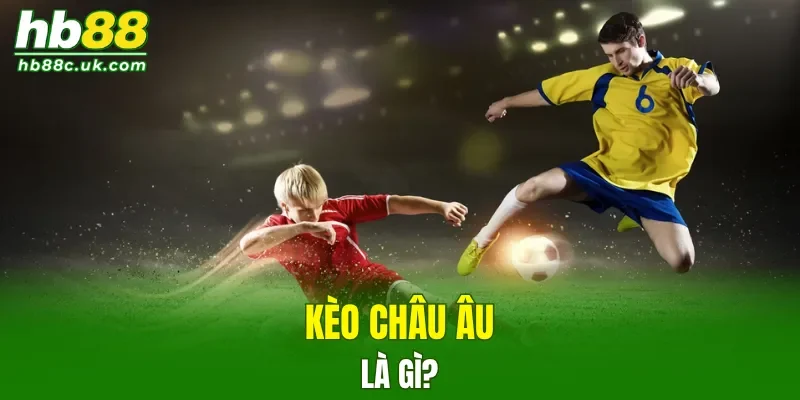 Giới thiệu về loại hình thức phổ biến hiện nay