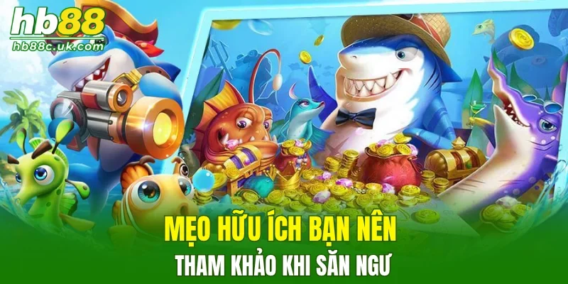 Mẹo hữu ích bạn nên tham khảo khi săn ngư
