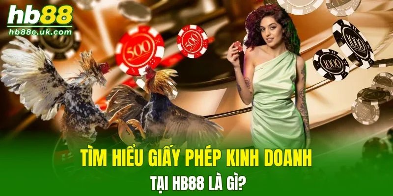 Tìm hiểu giấy phép kinh doanh tại HB88 là gì?