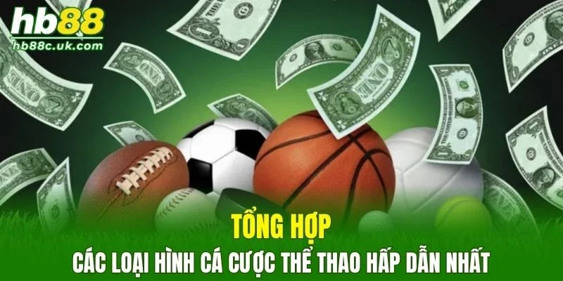 Tổng hợp các loại hình cá cược thể thao hấp dẫn nhất